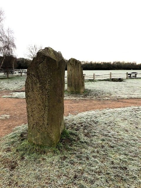 'Standing stones' near the entrance to Worcester Woods Country Park (January).