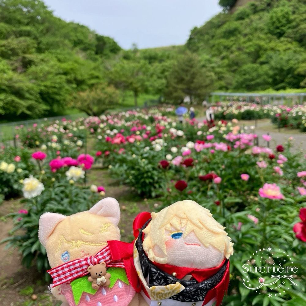 色とりどりの芍薬の花を背景に、ねこむねさんともちむねさん