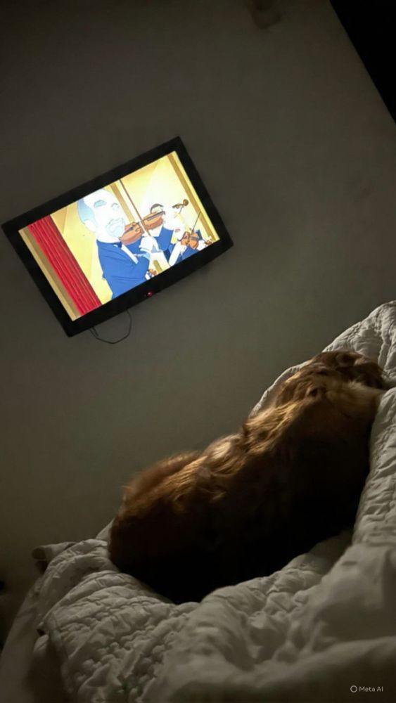 My golden retriever sleeping on me 