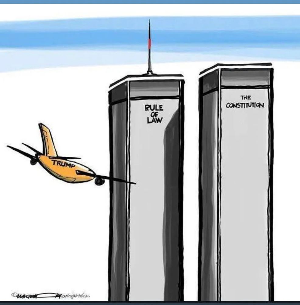 A picture of the twin towers with one named rule of law and another named the constitution, with a plane flying towards them named Trump