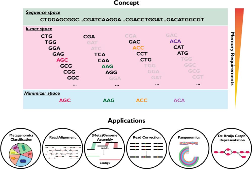 When less is more: sketching with minimizers in genomics - Genome Biology