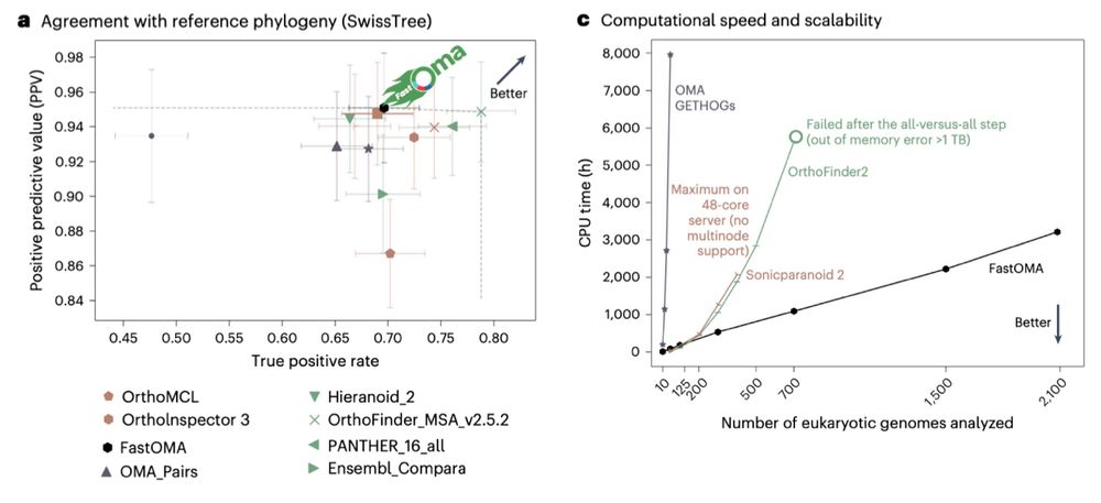 FastOMA retains OMA’s high precision accuracy and even improves upon it in terms of recall, positioning it on the Pareto frontier of orthology inference methods. 
FastOMA is not only fast but also accurate. a, QfO benchmar, agreement with SwissTree reference phylogeny covering manually curated gene trees. The error bars indicate 95% confidence intervals comparing FastOMA with EnsemblCompara, Domainoid, OrthoMCL, Ortholnspector, sonicparanoid, PANTHER, OrthoFinder, Hieranoid26 and the OMA family including OMA pairs, OMA groups and OMA GETHOGs (graph-based efficient technique for HOGs).

c) A computation time comparison of FastOMA and state-of-the-art alternatives.
https://www.nature.com/articles/s41592-024-02552-8 