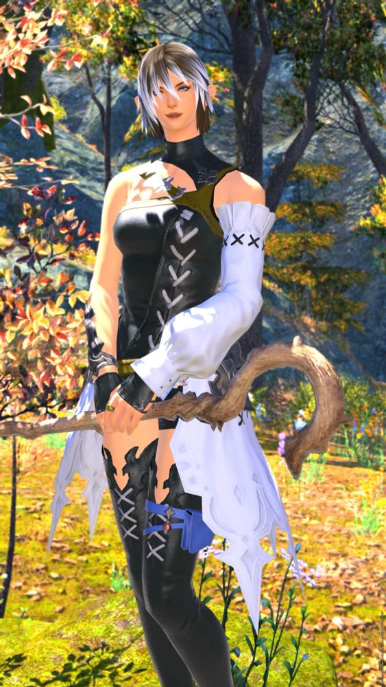 Pre DT screenshot of Renadora wearing the Elezen starter gear