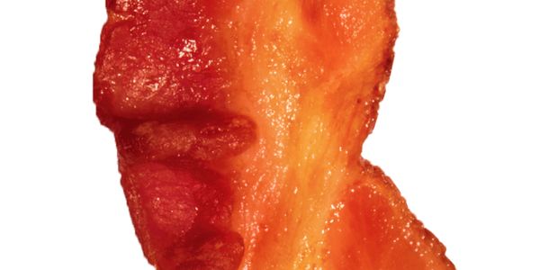 bacon