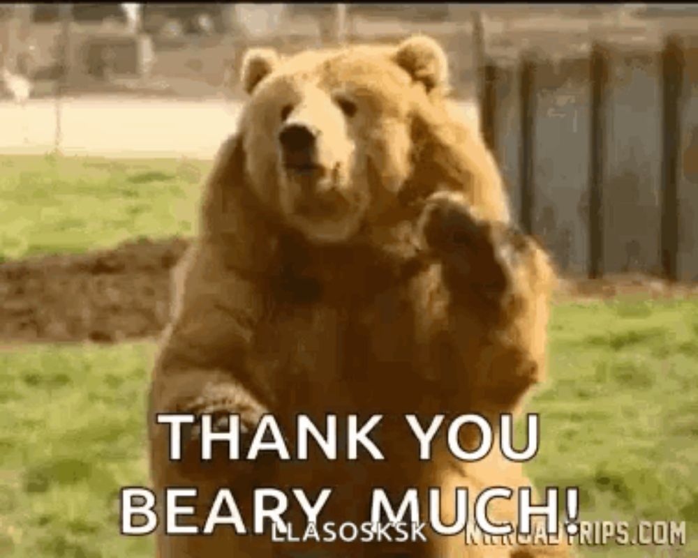 a brown bear is standing on its hind legs in a field and says `` thank you beary much '' .