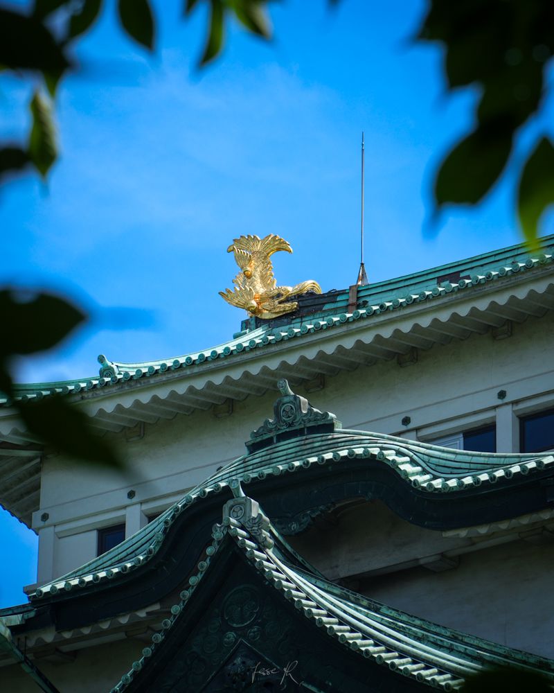 📷 名古屋城, Nagoya-jō