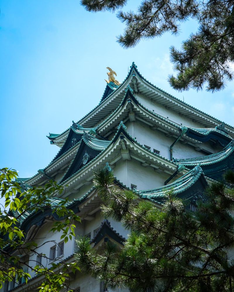 📷 名古屋城, Nagoya-jō