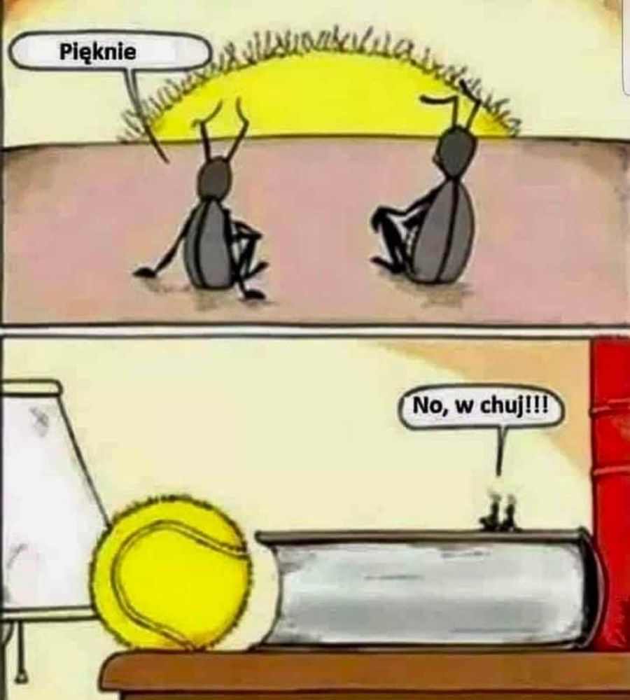Comment image