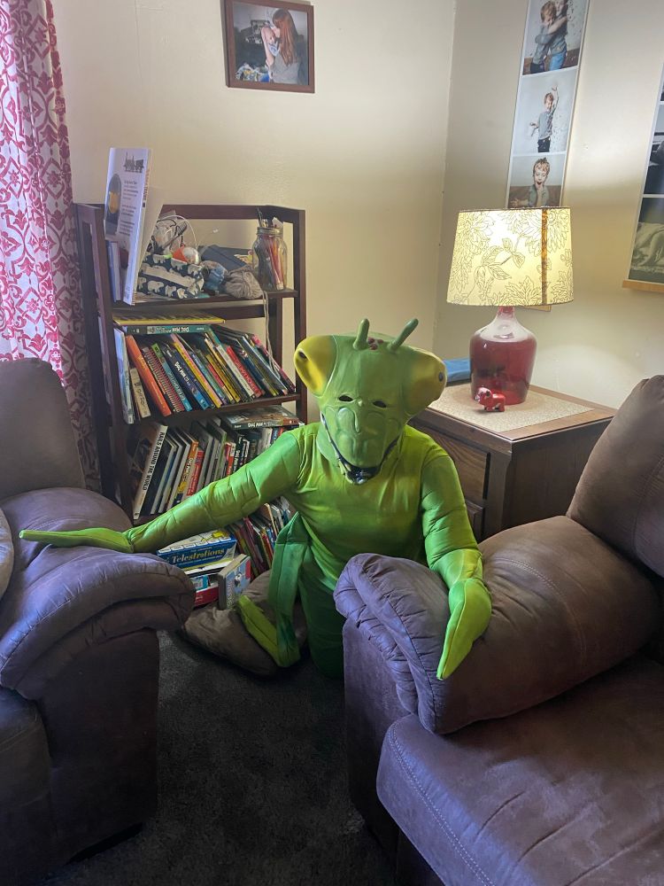 A large child who is dressed like a praying mantis, hiding behind my couch. 