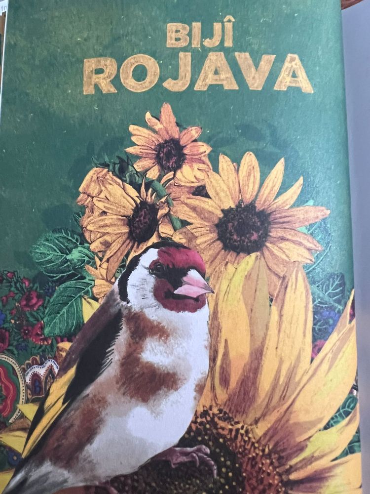 Drawing of a bird and flowers from the book "Social Ecology and the Rojava Revolution"