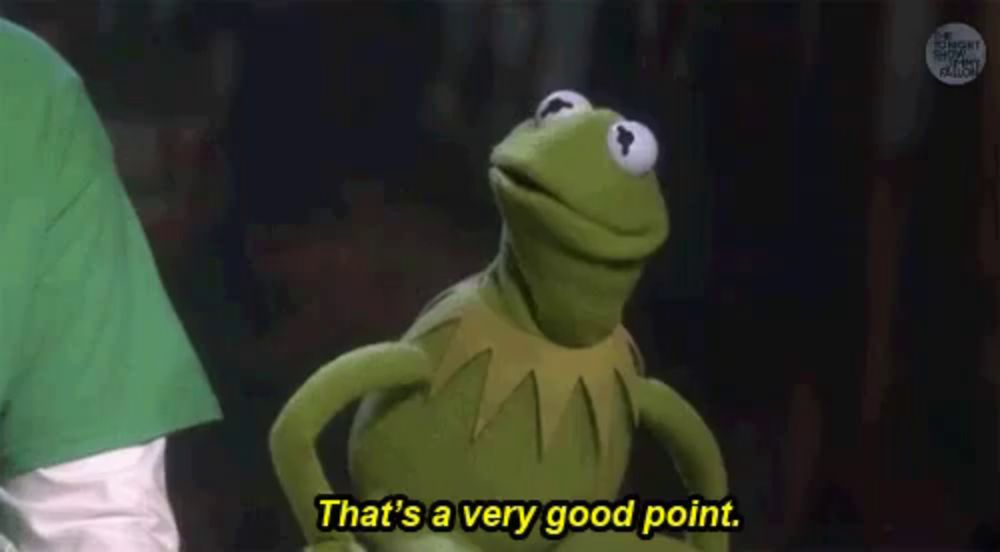 kermit the frog is standing in front of a person and saying `` that 's a very good point '' .