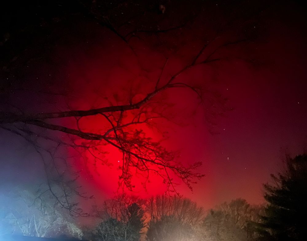 northern lights in indiana, bright red and maroon lights in the night sky with a branch from a tree and a few stars scattered within 