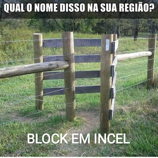 Cerca engana burro (cerca de madeira e arame com passagem estreita e angulada para não permitir a saída do gado) com a frase Qual o nome disso na sua região? E a resposta block em incel 