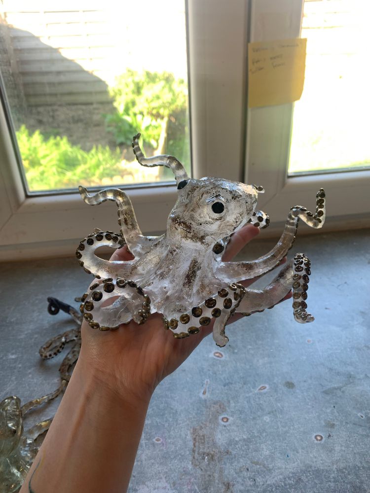 Photo de la grande pieuvre sur ma main 