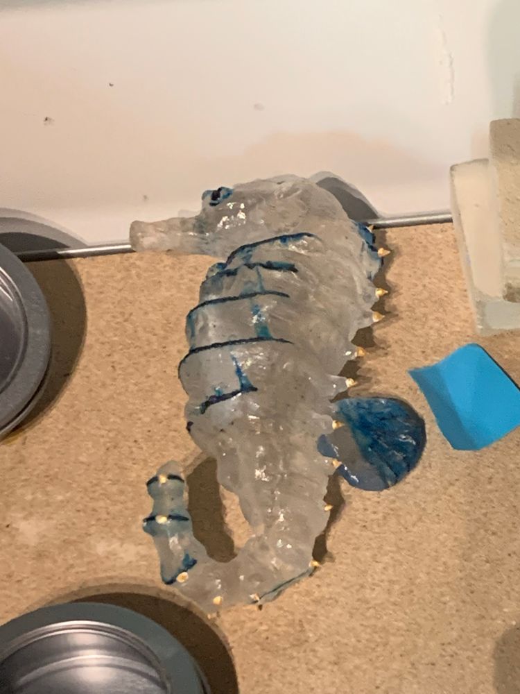 Photo d’une sculpture d’hippocampe en verre couchée sur le coté 