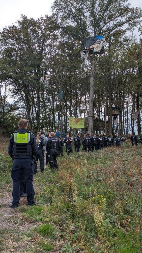 Eine Reihe Polizeikräfte steht auf einem Weg in Richtung des besetzten "Sündenwäldchens" (Foto: Sündi Bleibt Ticker)