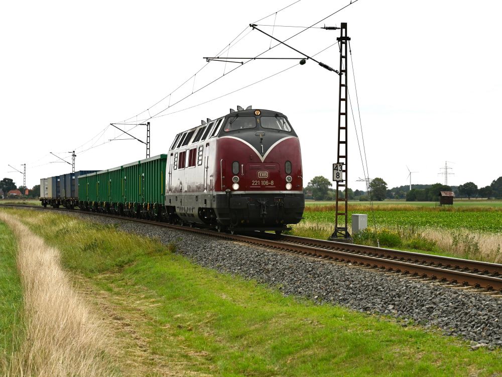 Ein Güterzug mit einer dunkelrot/grauen Lokomotive mit der Nummer 221 106-8 fährt mit Schüttgut- und Containerwagen über eine Bahnstrecke durch eine ländliche Landschaft.