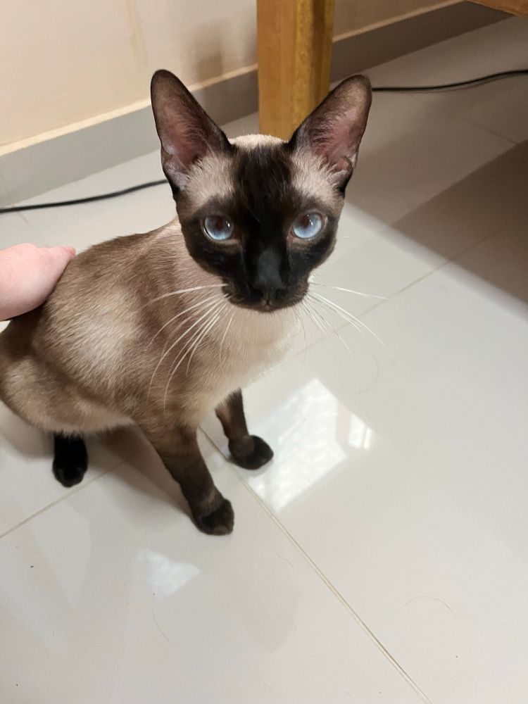 zuko with his enormous blue eyes 