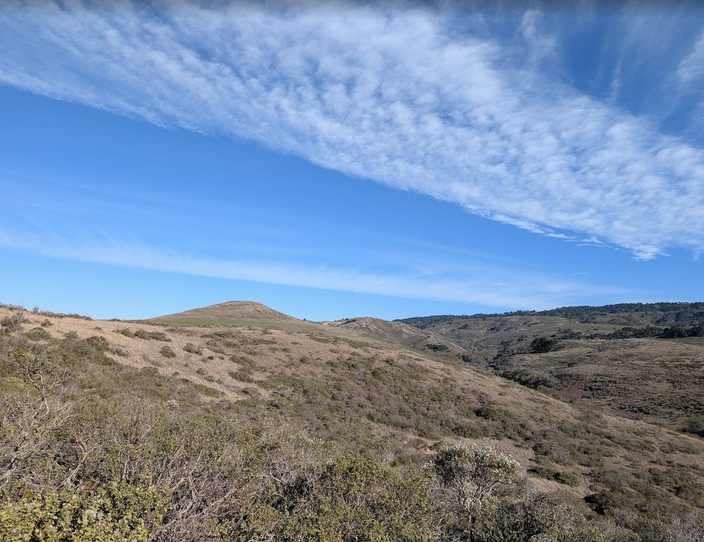 A coastal scrub-grassland in California