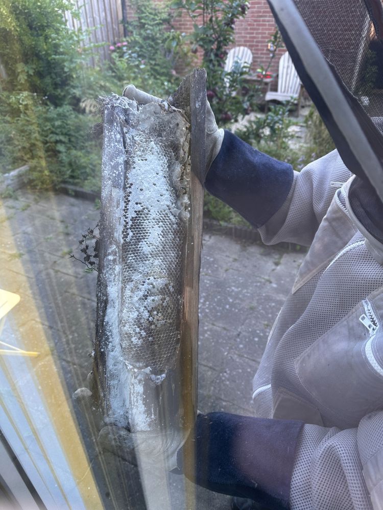 Wasps nest in crossbar. Dug out. Bye bye.