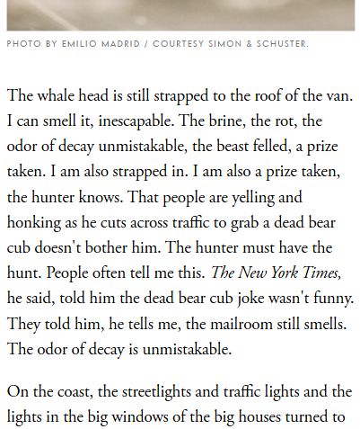 A FAKE AND NOT REAL screenshot of the Vanity Fair excerpt of American Canto by Olivia Nuzzi: "The whale head is still strapped to the roof of the van. I can smell it, inescapable. The brine, the rot, the odor of decay unmistakable, the beast felled, a prize taken. I am also strapped in. I am also a prize taken, the hunter knows. That people are yelling and honking as he cuts across traffic to grab a dead bear cub doesn't bother him. The hunter must have the hunt. People often tell me this. The New York Times, he said, told him the dead bear cub joke wasn't funny. They told him, he tells me, the mailroom still smells. The odor of decay is unmistakable."