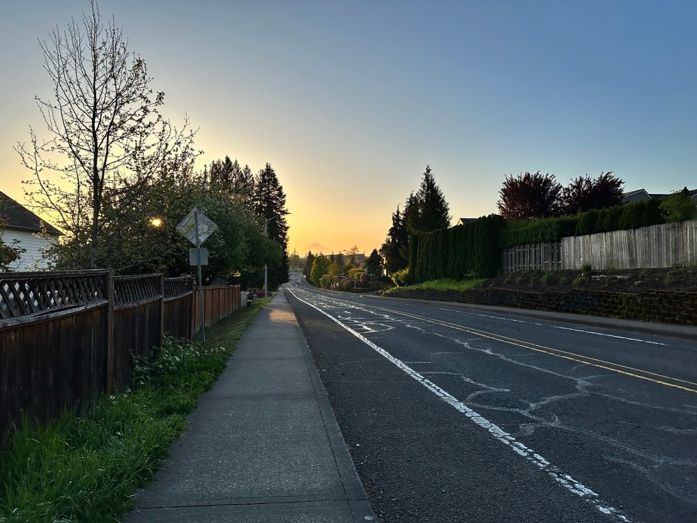 Looking down the sidewalk next to a road at the peak of a mountain rising out of a blanket of low, thick clouds.  Golden morning light infuses the clouds and air around the mountain.  There is a fence with a lattice and the back of a diamond shaped road sign on the left.  Across the street on the right is a wall of bushes.  Further in the distance conifer rise on either side of the road. 