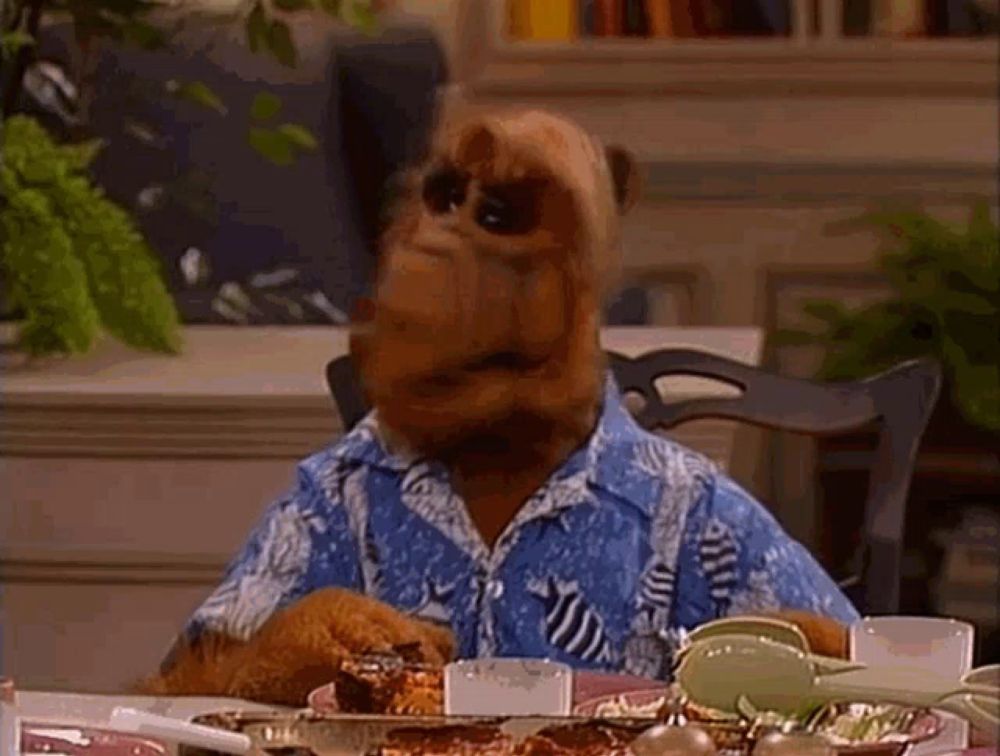 Alf Ku_ku GIF