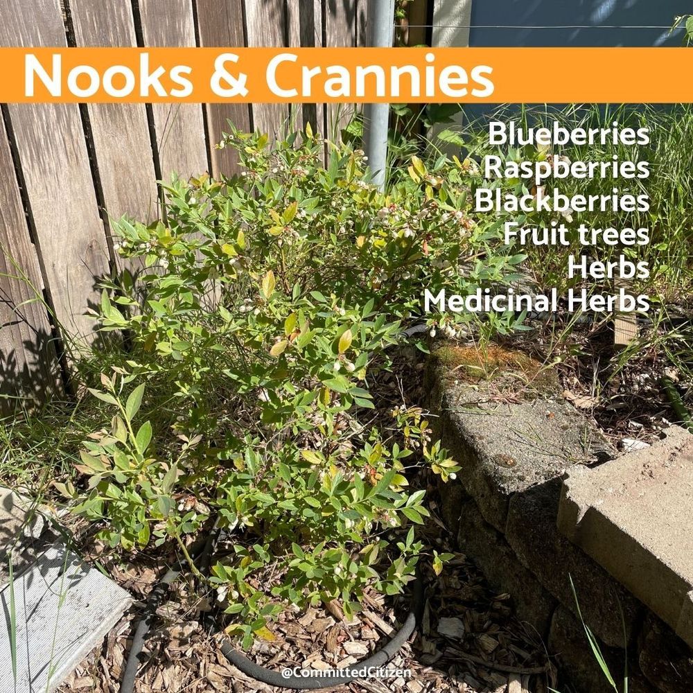 Images show a variety of ways to garden (e.g., raised beds, vertical planters).