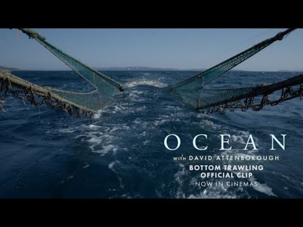 OZEAN mit David Attenborough | 'Bottom Trawling' Official Clip | German