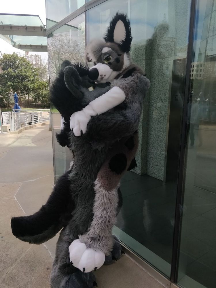 A guy in a direwolf costume is lifting up a little bitty dog costume wearer against a glass wall