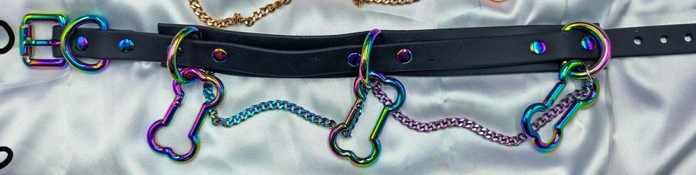 A 2 layer black collar with rainbow metal hardware; it features 3 d-rings with a bone-shaped clip attached to each ring, and a rainbow chain runs between each ring 