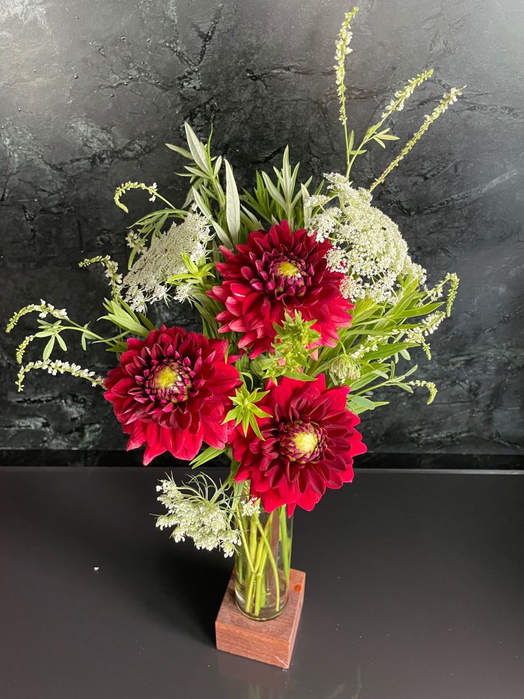 Bouquet of red dahlias and queen Ann’s lace