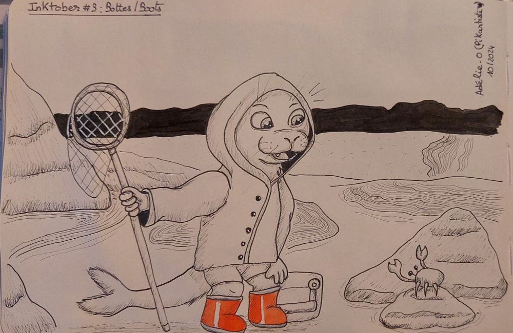 FR : Dessin à l'encre d'un phoque enfant anthropomorphique portant un ciré, un short, des bottes rouges et tenant une épuisette à la main droite. Il a les genoux fléchis et sourit. Il regarde un crabe posé sur un rocher devant lui. Un sceau est posé à côté du phoque. Autour de lui, il y a des rochers, des points d'eau, du sable et la mer.
EN : Ink drawing of an anthropomorphic child sea wearing an oilskin, short pants, red boots and is holding a landing net in his right hand. He bents his kneels and is smiling. He is watching a crab standing in a rock in front of him. A bucket was put next to him. All around, there are rocks, water pounds, sand and sea.