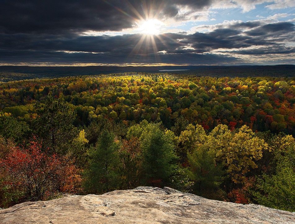 For a brief, breathtaking moment, the sun breaks through clouds to spot light the intensely colored autumn foliage, on a sunny afternoon in Canada's beautiful Algonquin Provincial Park.