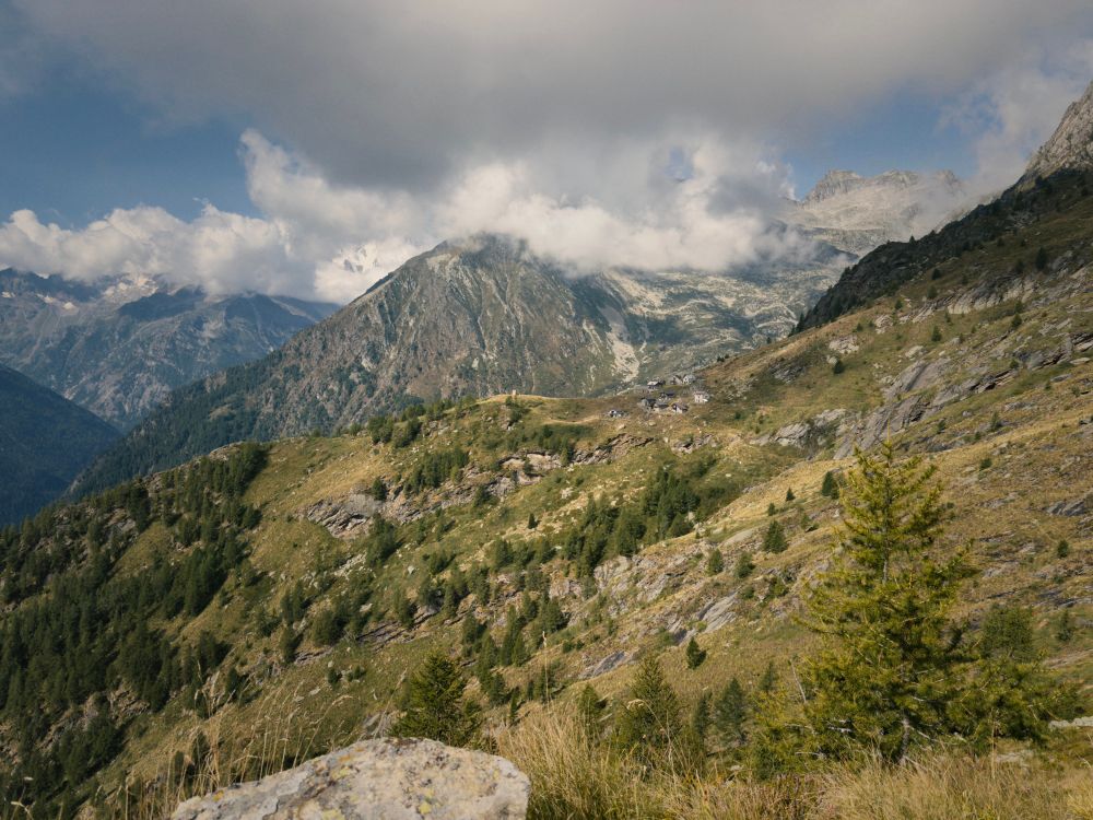 More views of the pasture in the Alps. On the left, a clouded Monte Rosa