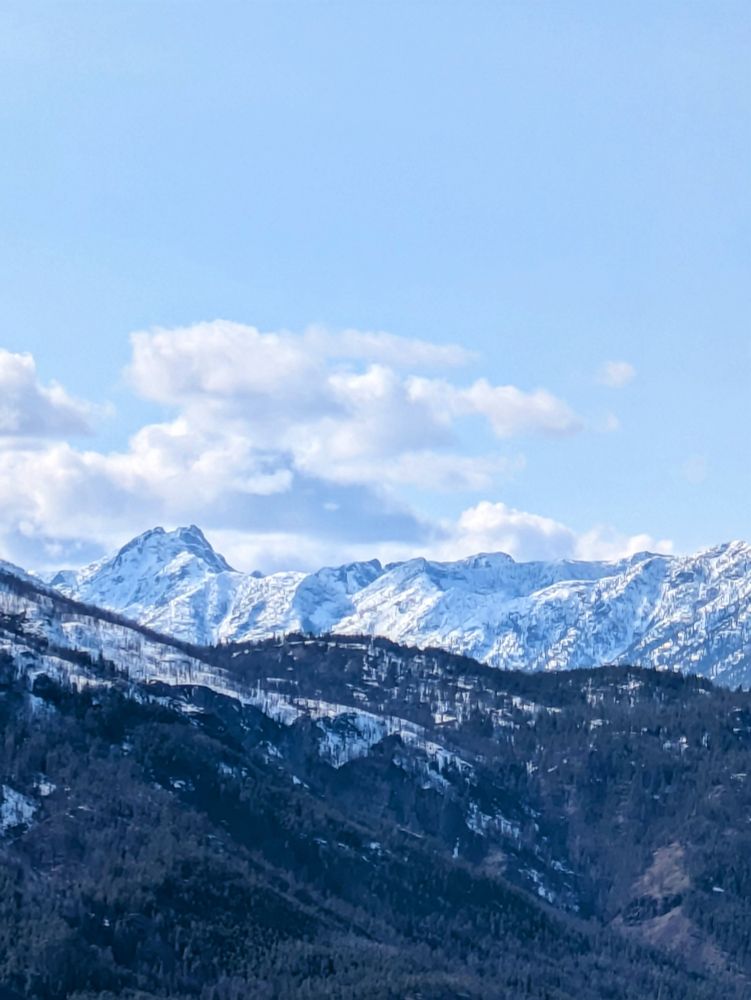 Snow covered mountains on a National Forest.