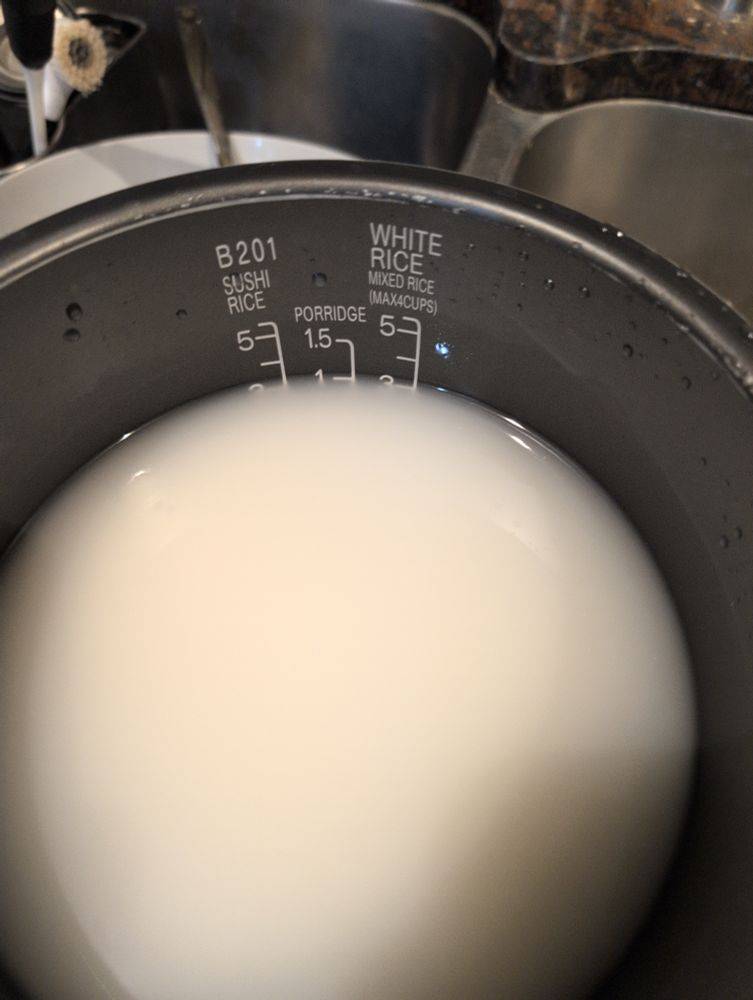 bowl containing milky white liquid that resembles semen. it is water mixed with starch, which is washed off of rice before cooking.