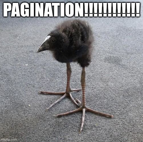 image of a funny looking bird with the caption "PAGINATION!!!!!!!!!!!!"