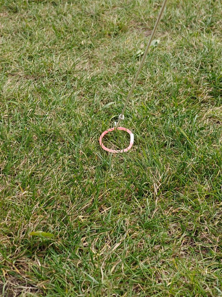 A tent string attached to a stake, encircled by a plastic bracelet that was glowing in the dark last night