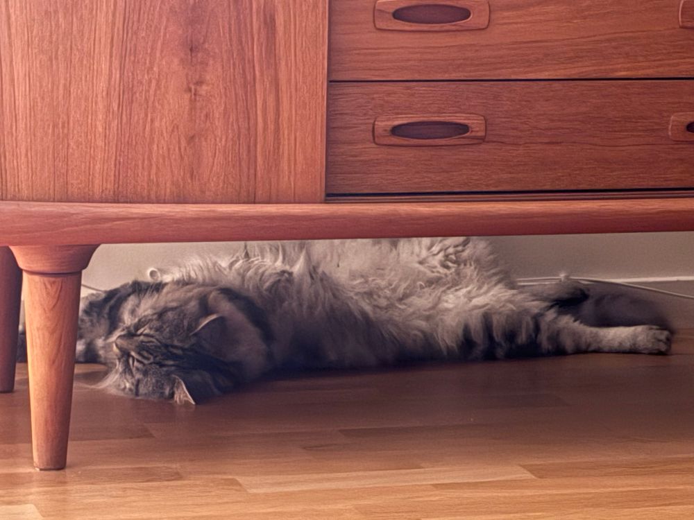 Nederdelen av ett sideboard i trä. Under det, på golvet inne vid väggen, ligger en grårandig katt utfläkt så att hans vita magfluff exponeras. Han påminner om de många gråvita dammtussar som han själv alstrar hela dagarna. 