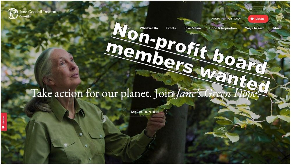 Non-profit board members / board of directors positions