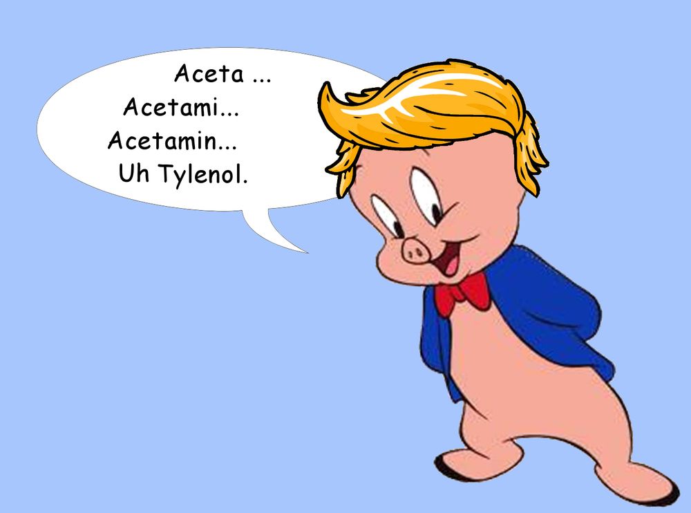 Porky Pig with a Trump style hairdo saying, "Aceta, acetami, acetamin, uh Tylenol."