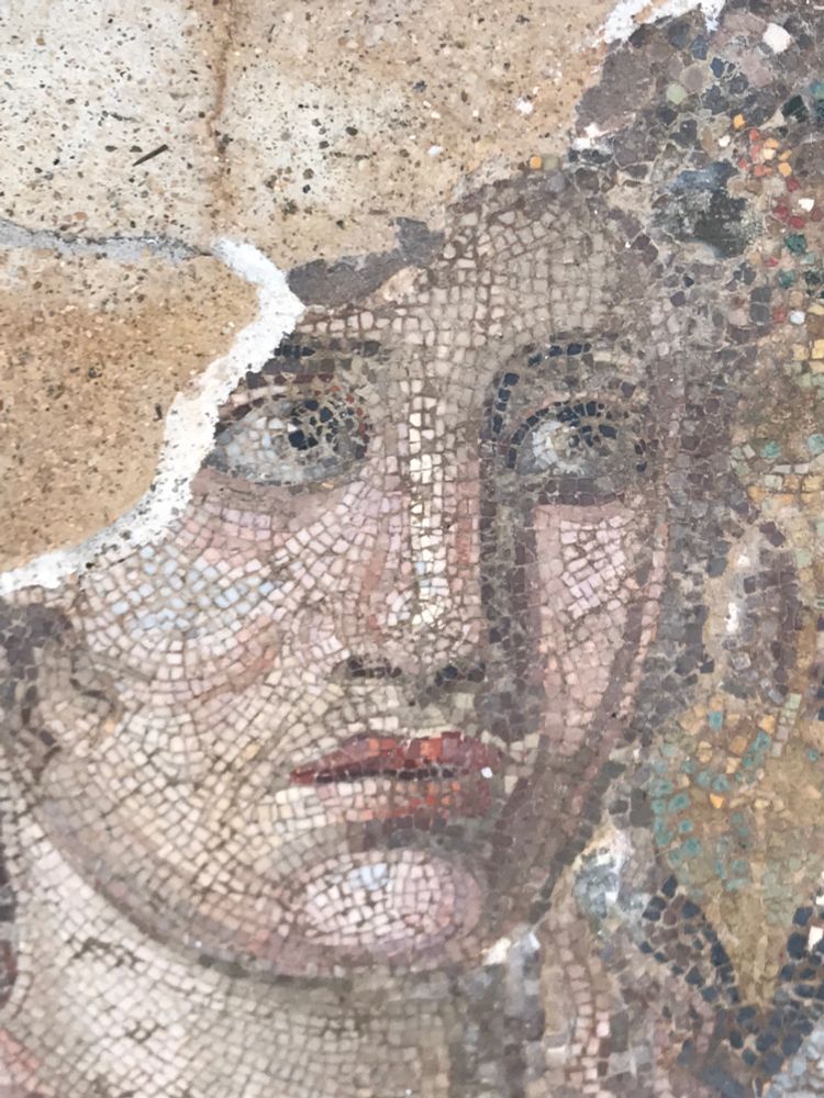 Fragment of a mosaic in Delos Archeological Museum