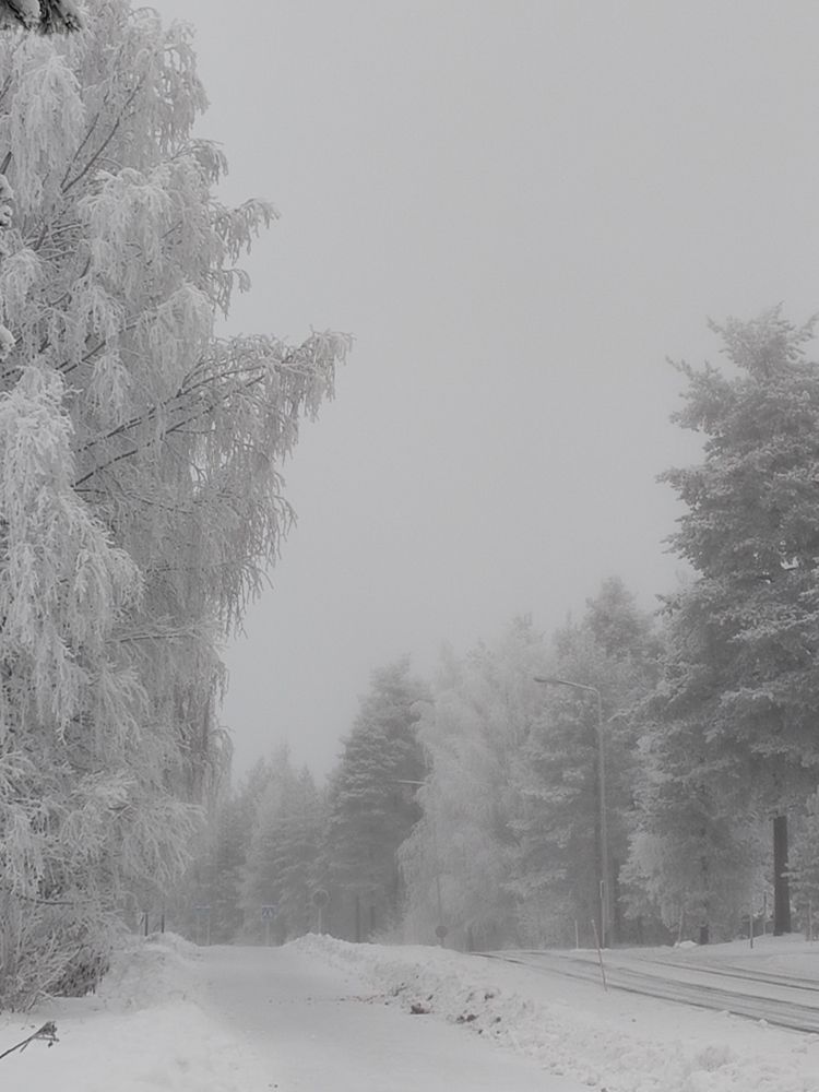 Tie, ylämäki, huurteisia puita ja vaaleanharmaa taivas