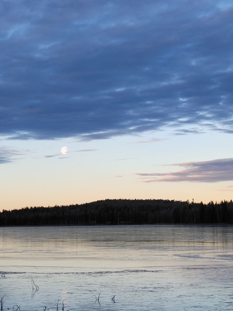 Järvi, vastaranta, taivalla päiväkuu ja pilviä.