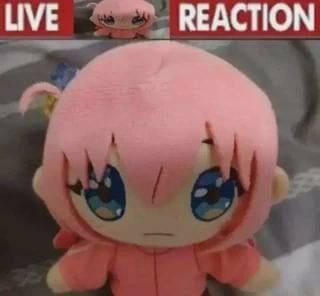 LIVE [plushie of Bocchi] REACTION