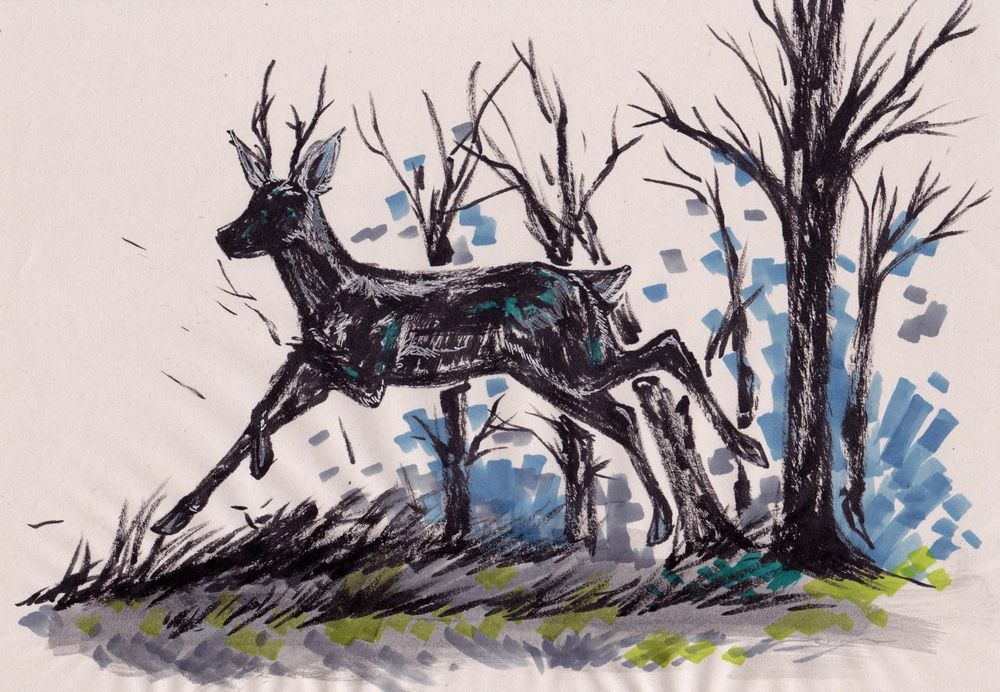 A black deer jumping out of the forest. Draw with ink and markers.