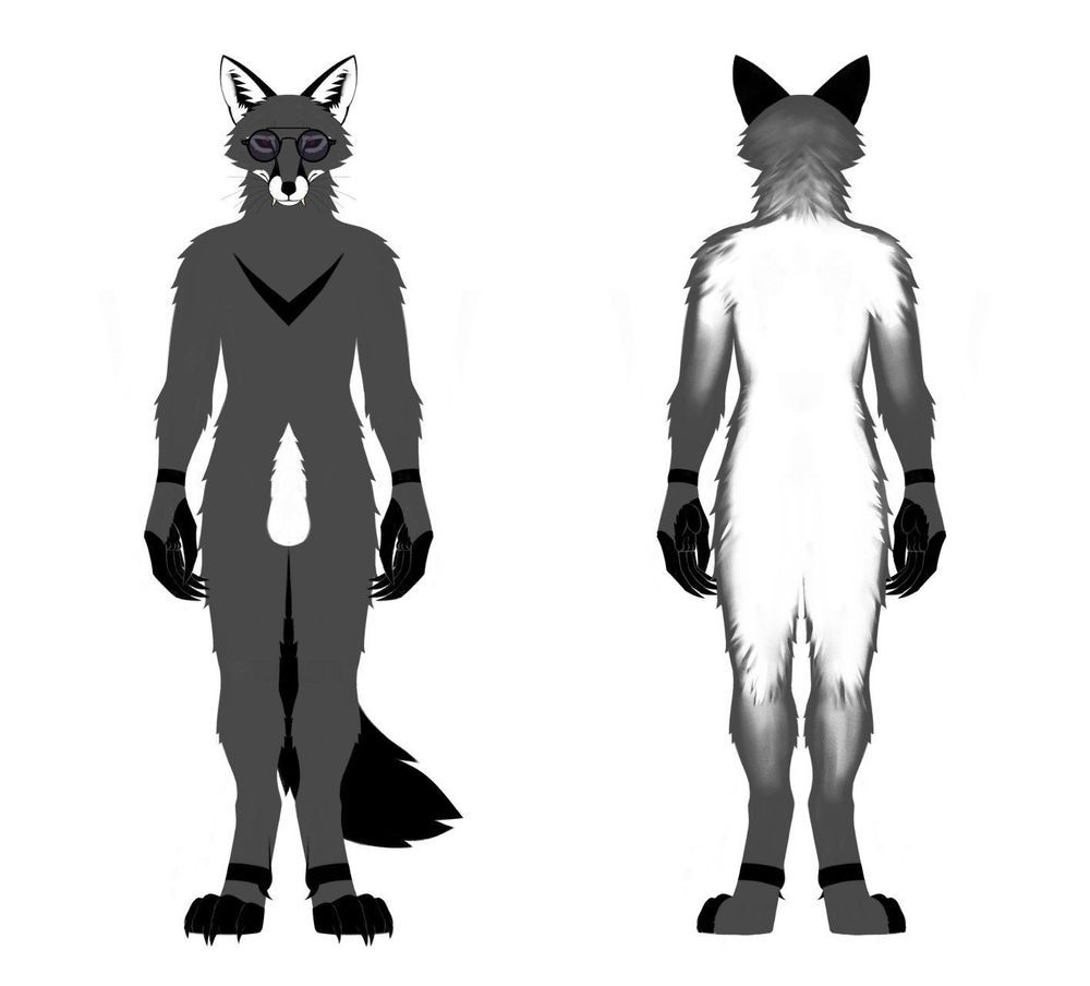 Two line less full bodies of an anthropomorphic fox. He is wearing shades.