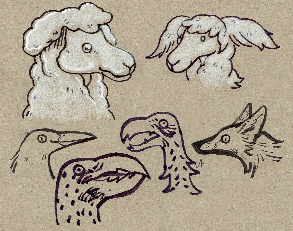Several headshots of animals. Sheep, a fox and various birds.
Drawn on brown paper with ink and white pencil.
