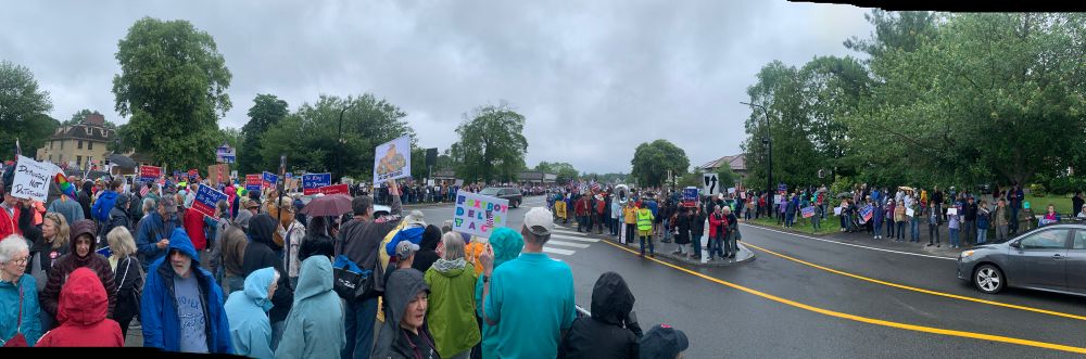 Crowd in Lexington MA for No Kings rally. 